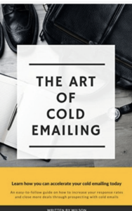 The Art of Cold Emailing By P. Wilson